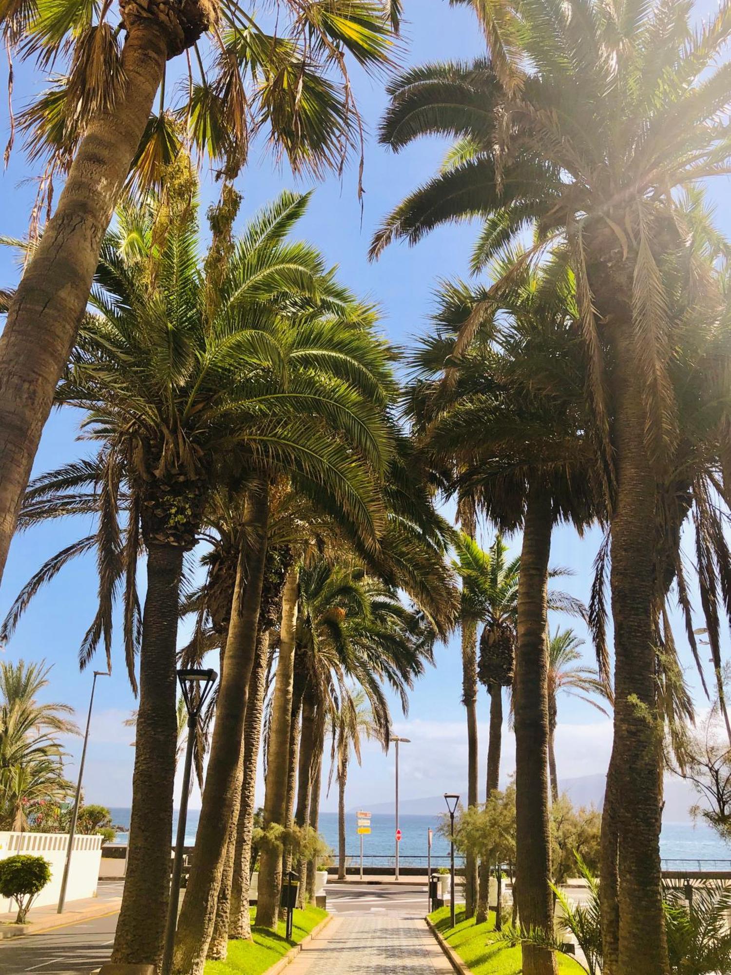 Estudio Tinerfe Puerto de la Cruz Kültér fotó